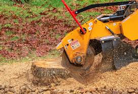 Best Commercial Tree Services  in Lennox, CA