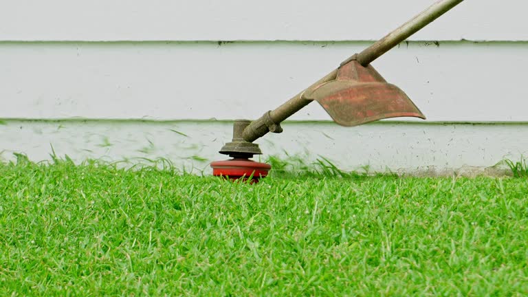 Best Storm Damage Tree Cleanup  in Lennox, CA